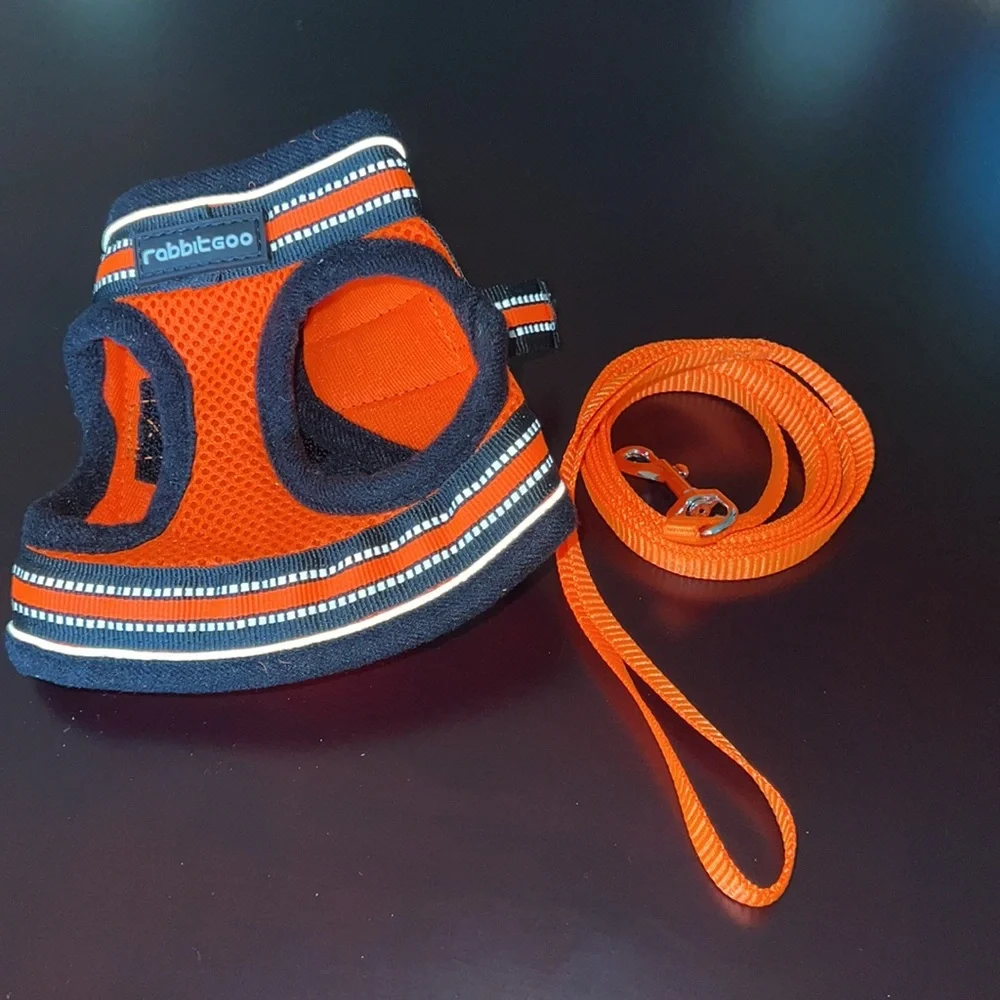 Cat harness and leash size Small